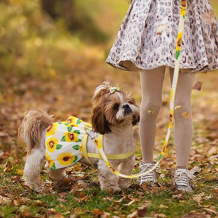 Pet Harness & Clothes