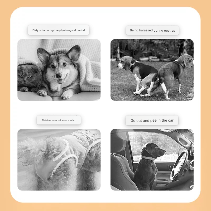 Pet Sanitary Pants