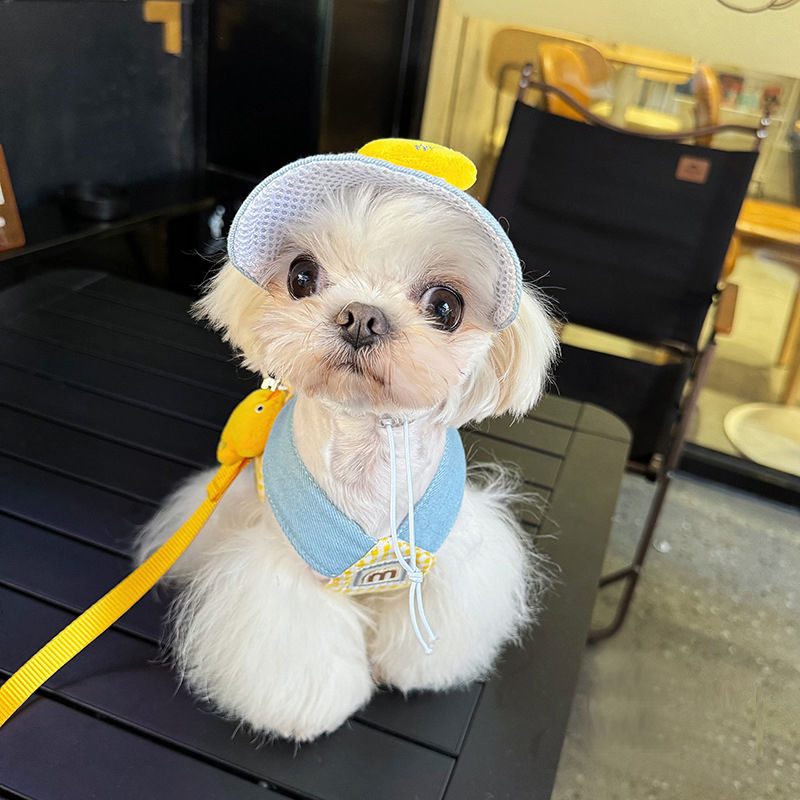 Cute duck Spring and summer pet chest harness - PetsLoveStory®