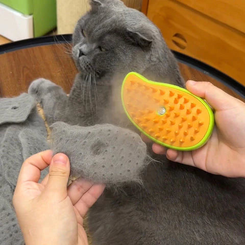 PetsLoveStory® 3 in 1 Cat Brush - PetsLoveStory®