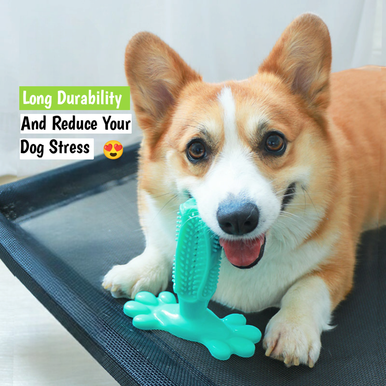 PetsLoveStory® Toothbrush Toy - PetsLoveStory®