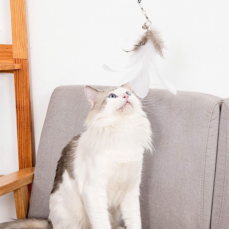 Cat Strong Suction Cup Long Rod Elasticity - PetsLoveStory®