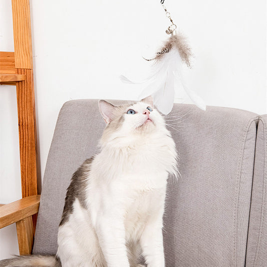 Cat Strong Suction Cup Long Rod Elasticity - PetsLoveStory®