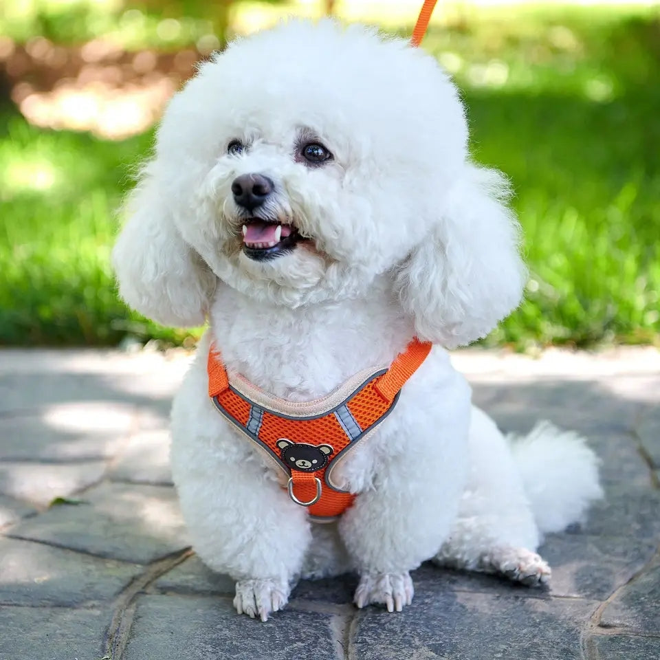 Vest style dog leash - PetsLoveStory®