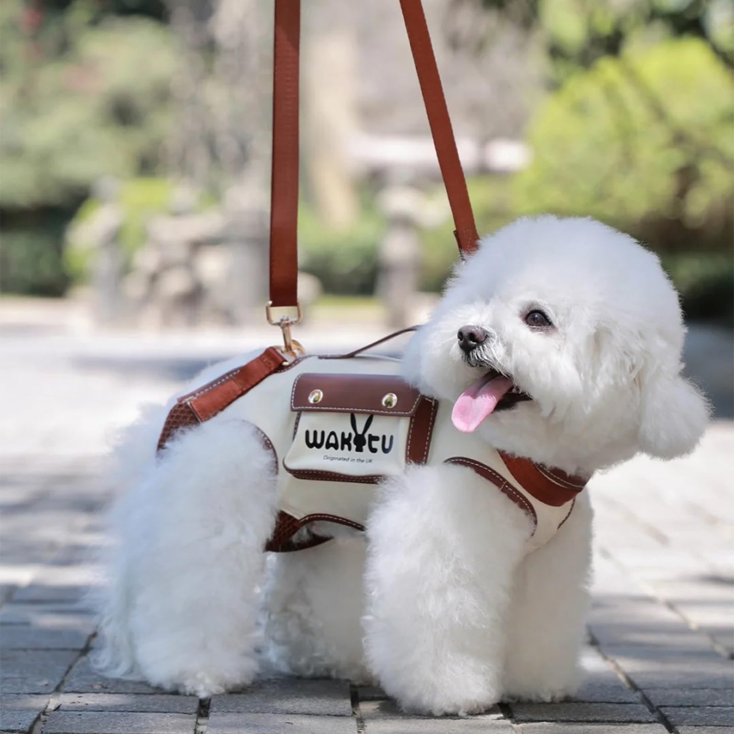 Dog Lift Harness Dog Carrier Dog VES Harness