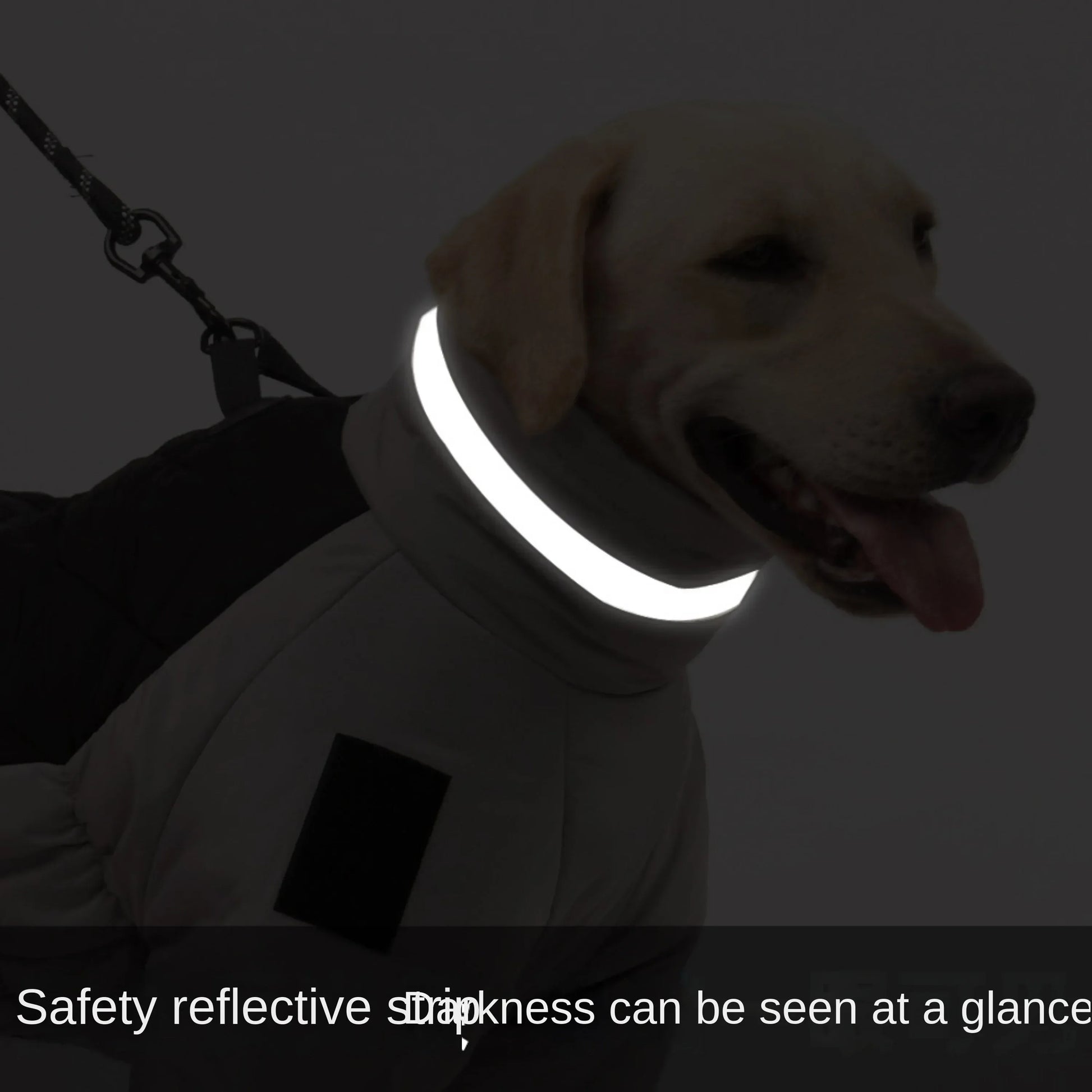 PetsLoveStory® Warm winter Jacket - PetsLoveStory®