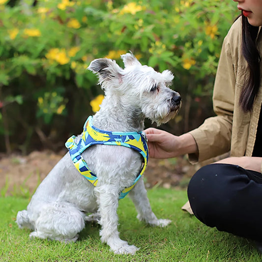 New Dog Cat Harness Adjustable Vest Walking Lead Leash For Puppy Dogs - PetsLoveStory®
