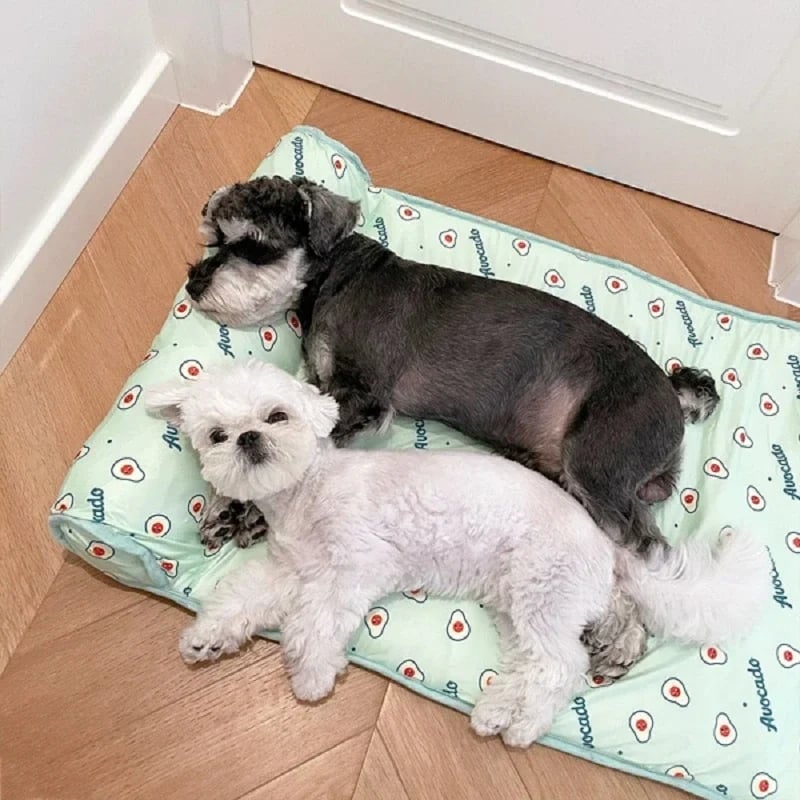 Ice Silk Cooling Mat for Dogs & Cats - PetsLoveStory®