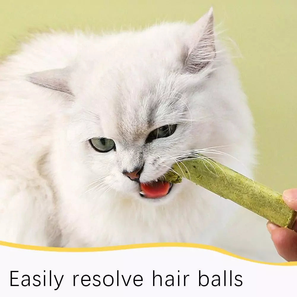 Dry Grass Sticks - PetsLoveStory®