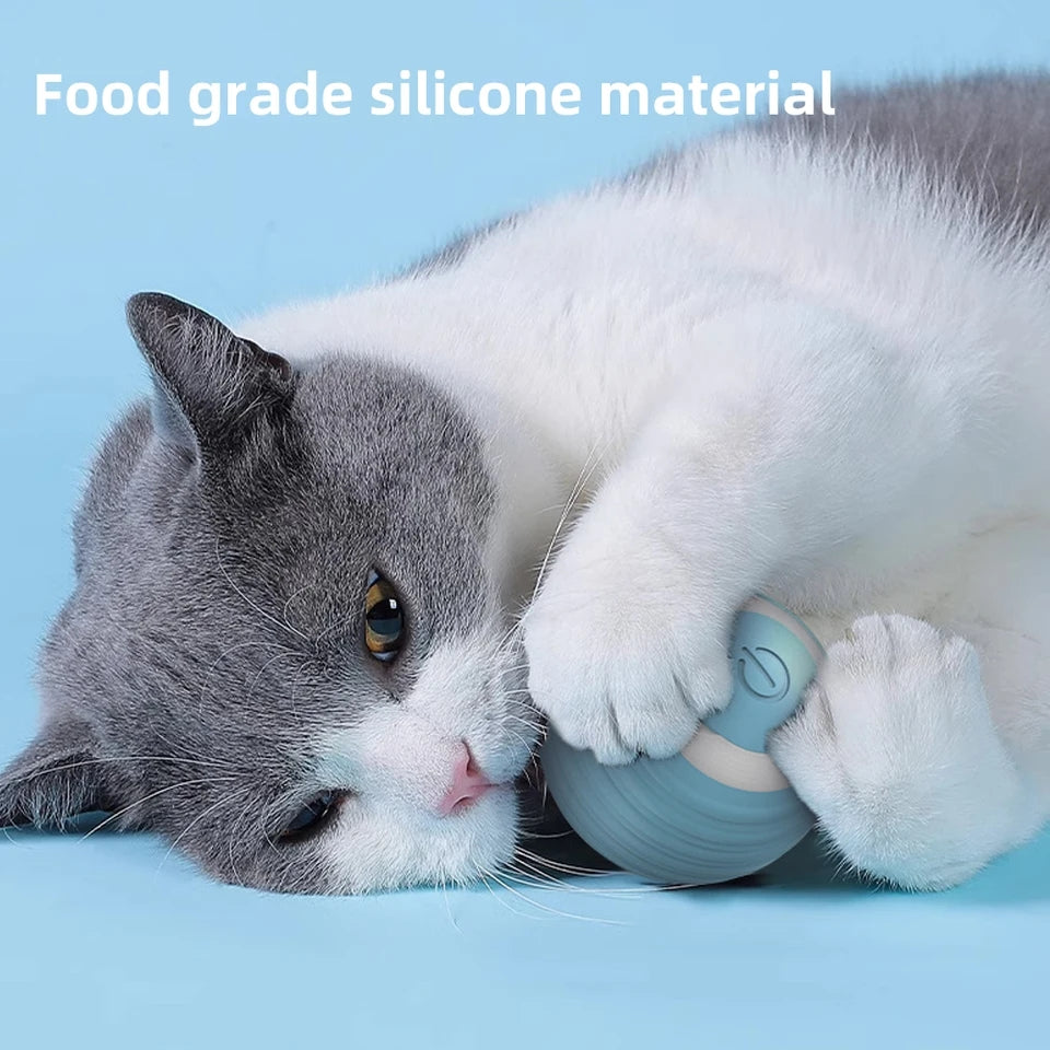 Cat Interactive Ball - PP38 - PetsLoveStory®