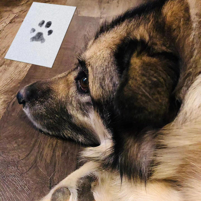 PetsLoveStory® Paw Print Stamp Pad - PetsLoveStory®