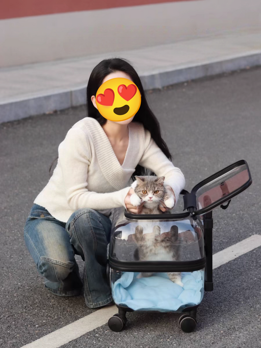 PetsLoveStory® Transparent Pet Travel Trolley - PetsLoveStory®