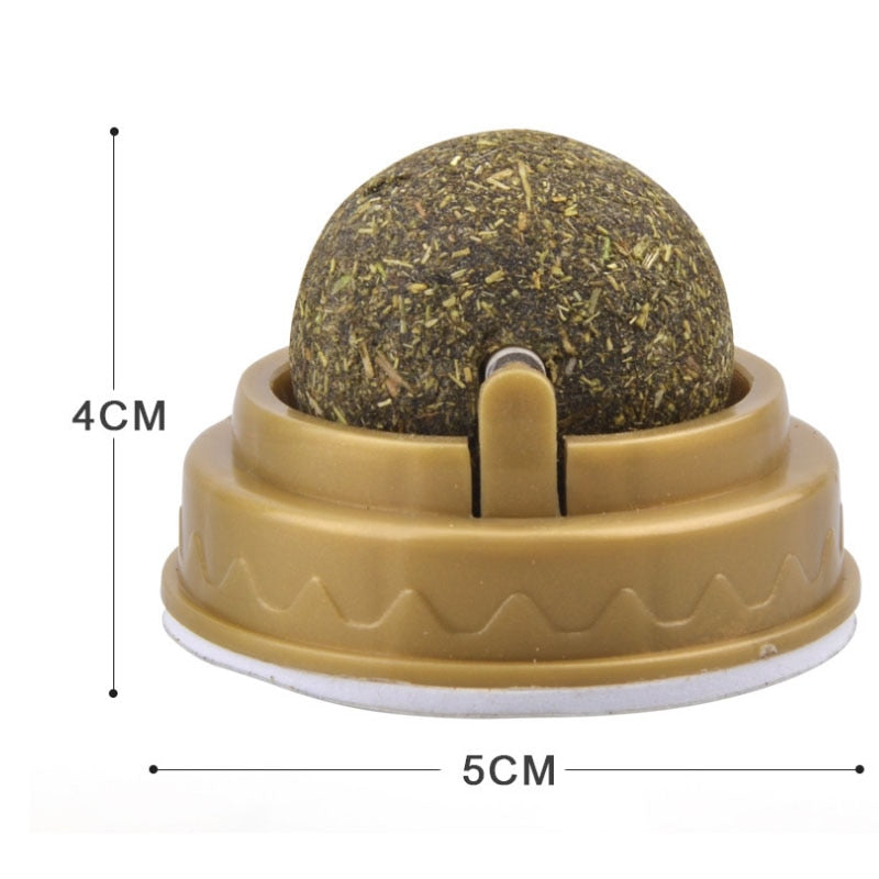 Catnip licking Ball For Cats - PetsLoveStory®