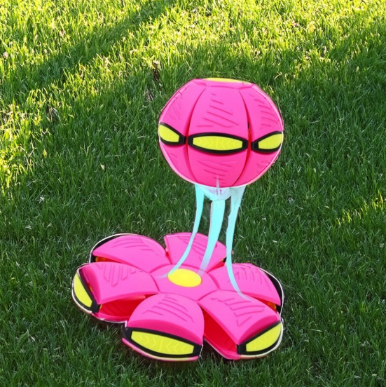 PetsLoveStory® BouncePop Ball - PetsLoveStory®