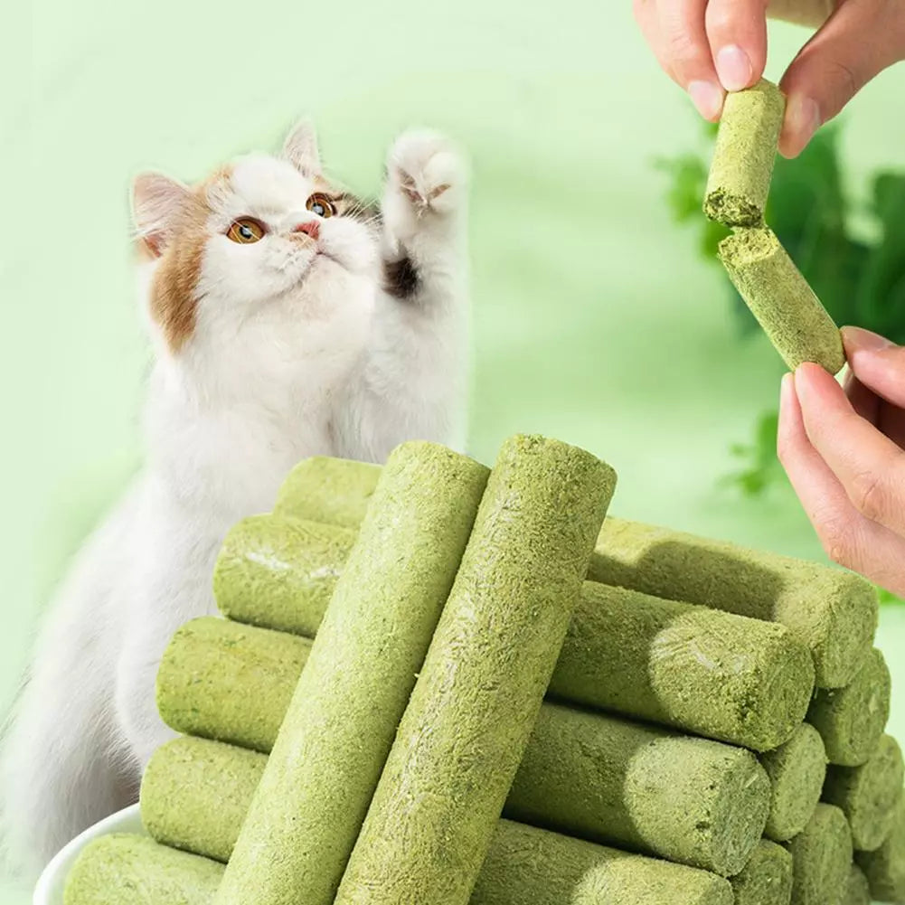 Dry Grass Sticks - PetsLoveStory®