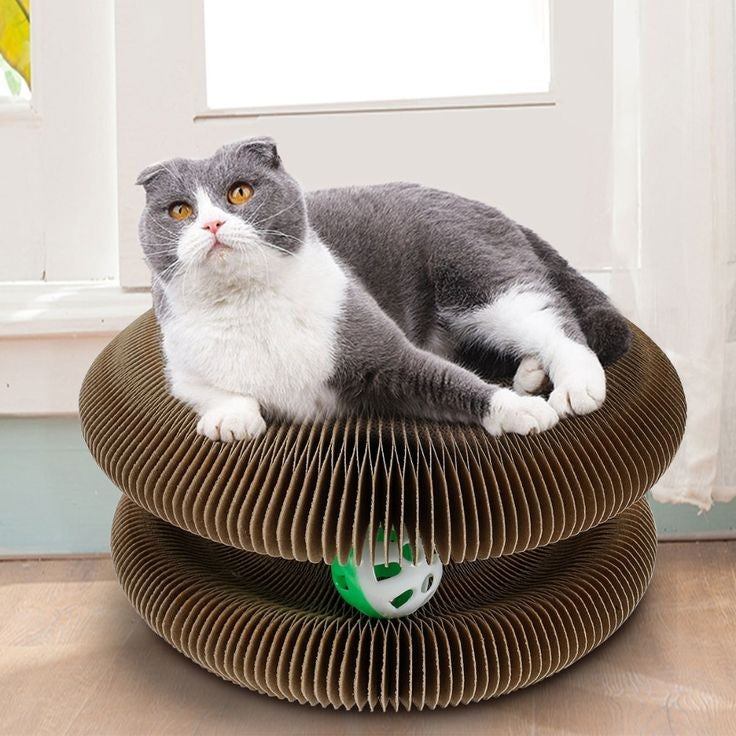 Cat Ball Toy PetsLoveStory