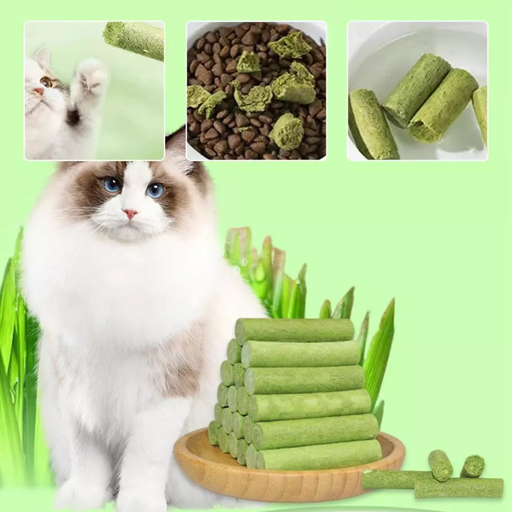 Dry Grass Sticks - PetsLoveStory®