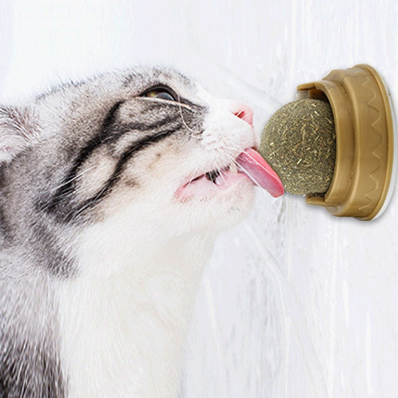 Catnip licking Ball For Cats - PetsLoveStory®