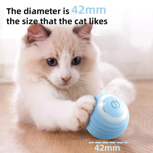 Cat Interactive Ball - PP38 - PetsLoveStory®