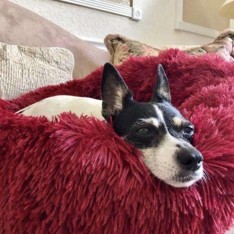 Doghouse plush round pets keep warm in autumn and winter - PetsLoveStory®