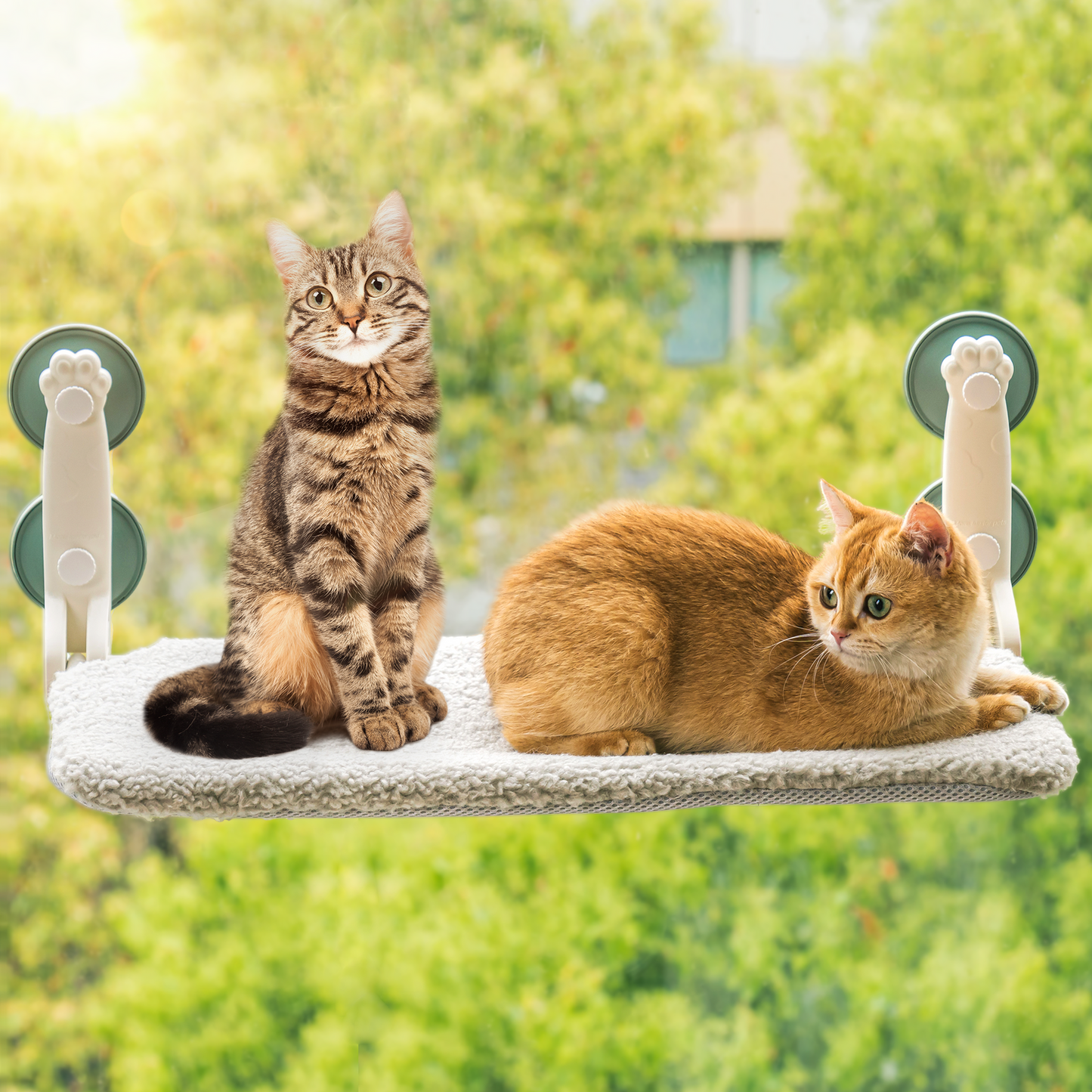 Cat Window Hammock - PetsLoveStory®