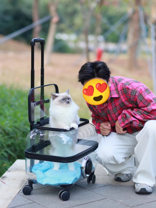 PetsLoveStory® Transparent Pet Travel Trolley - PetsLoveStory®