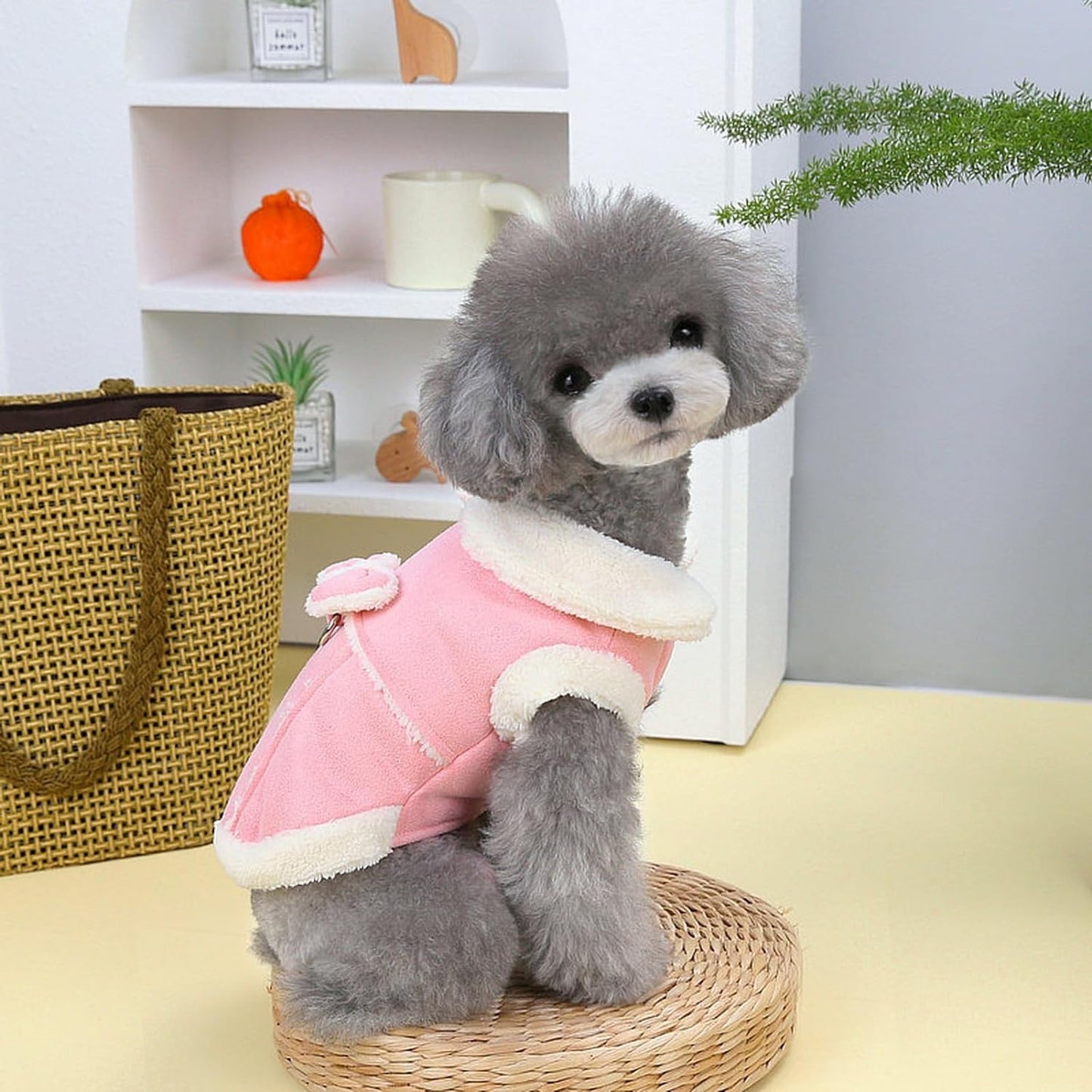 PetsLoveStory® Cute Stylish Dog Coat - PetsLoveStory®