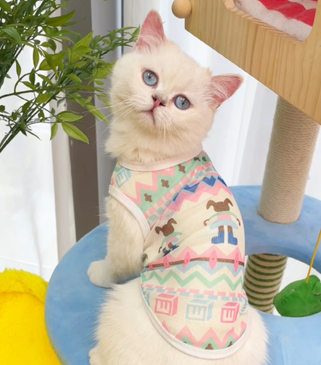 Pet anti-shedding summer vest - PetsLoveStory®
