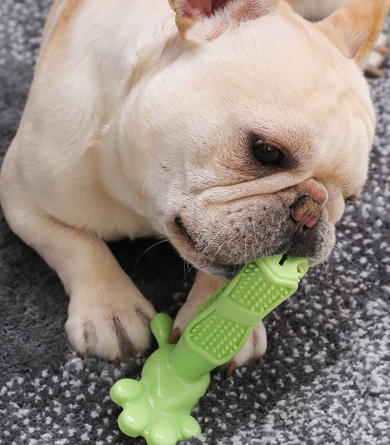 PetsLoveStory® Toothbrush Toy - PetsLoveStory®