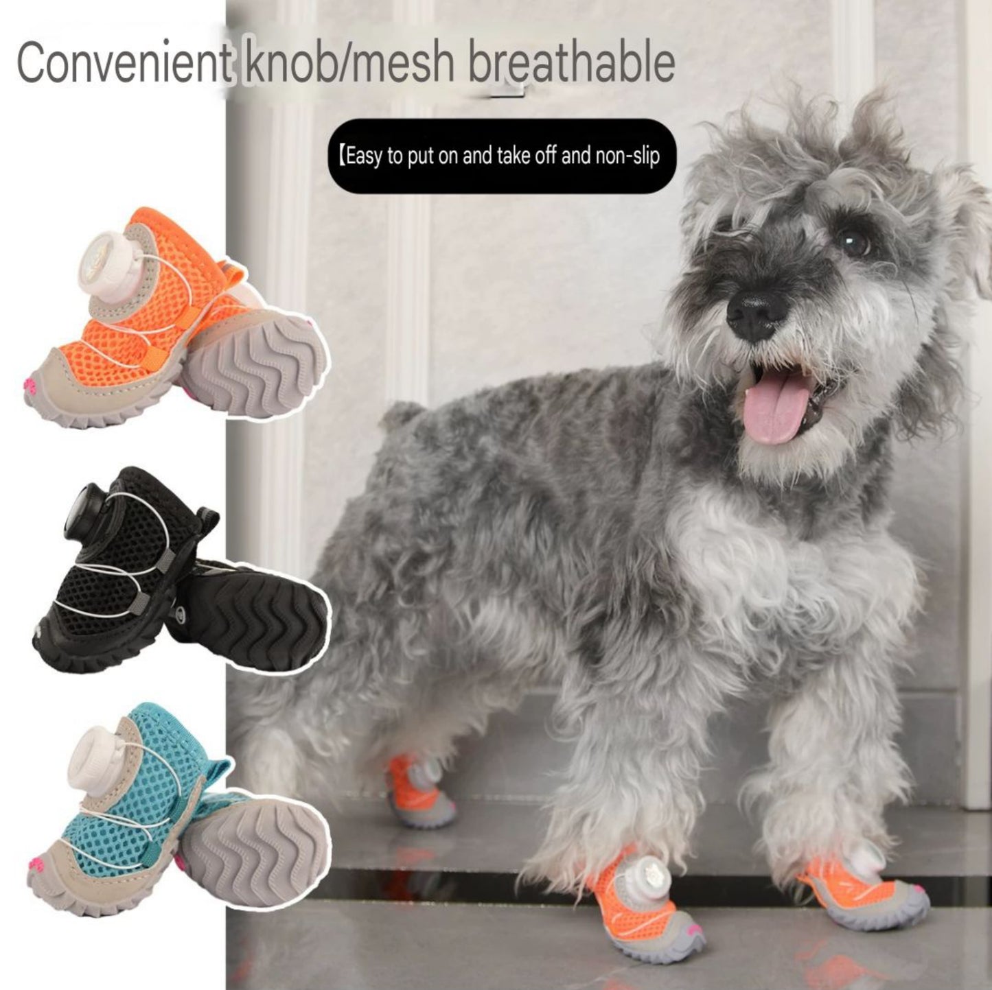 Novos sapatos para cães