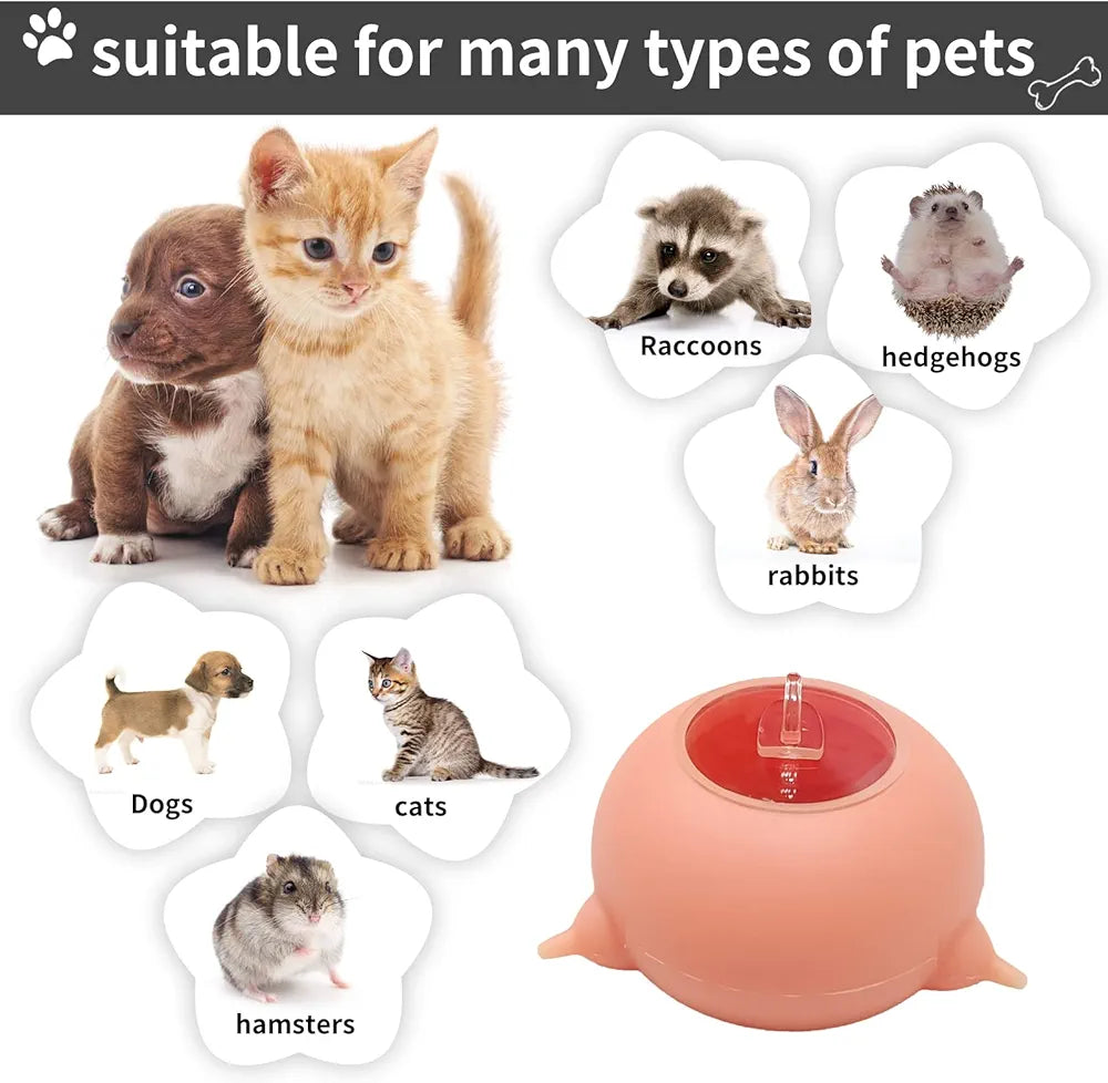 3 Pacifiers Puppy Kitten Silicone Feeder - PetsLoveStory®