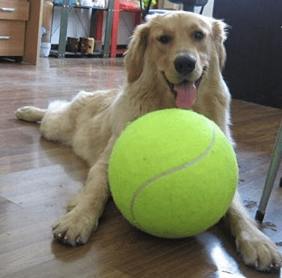 Giant Tennis Ball Toy for Pets 9.5" (24cm) – PetsLoveStory®