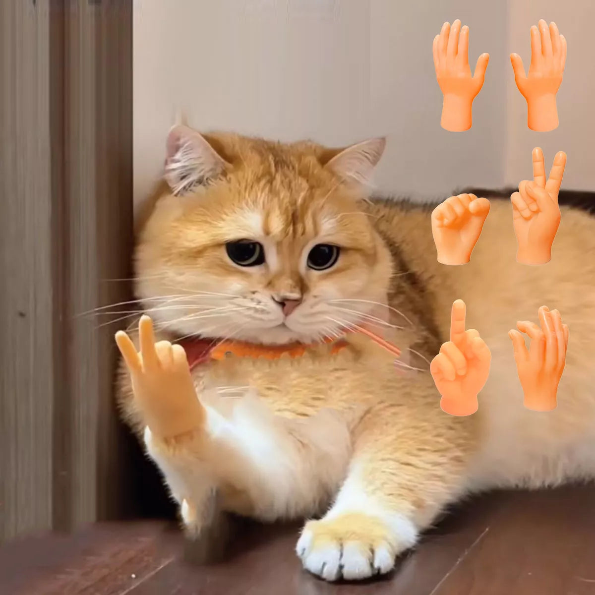 6PCS Cat Little funny Fake Human Hand - PetsLoveStory®