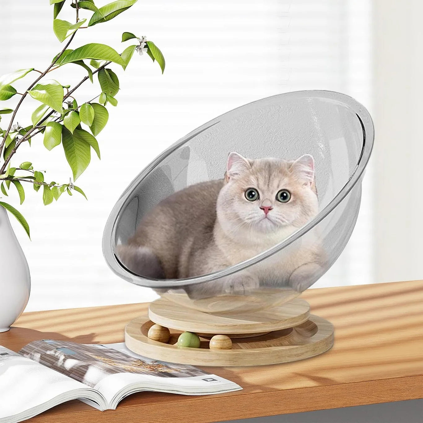 Space Capsule Cat Bed Transparnt Cat House - PetsLoveStory®