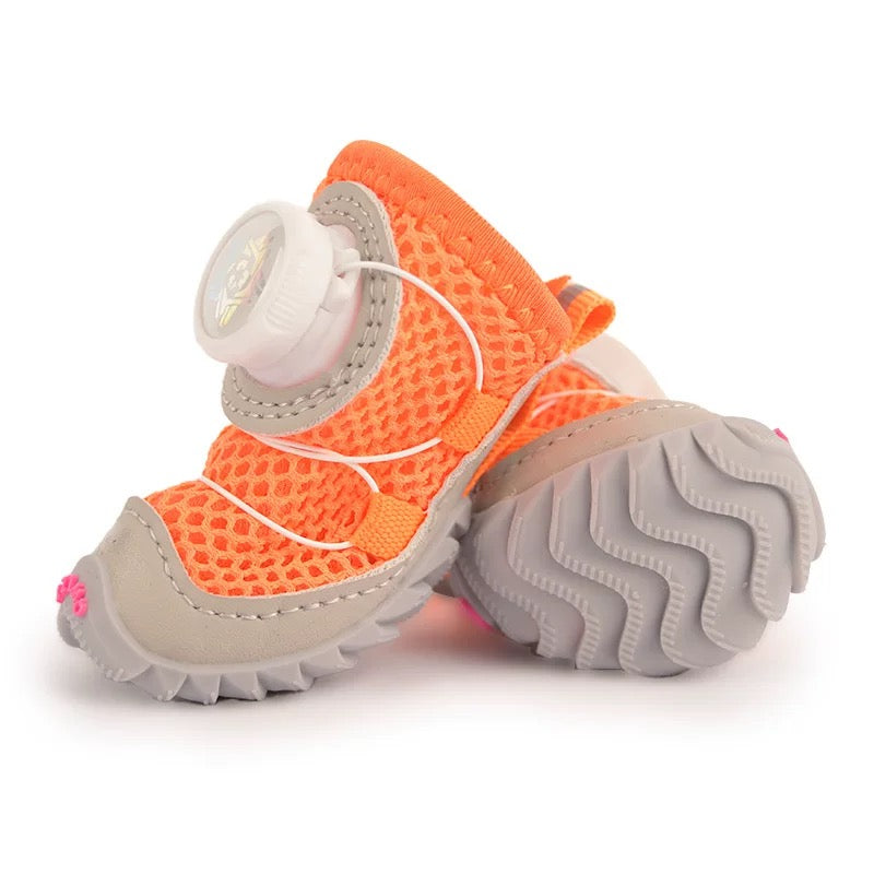 Novos sapatos para cães