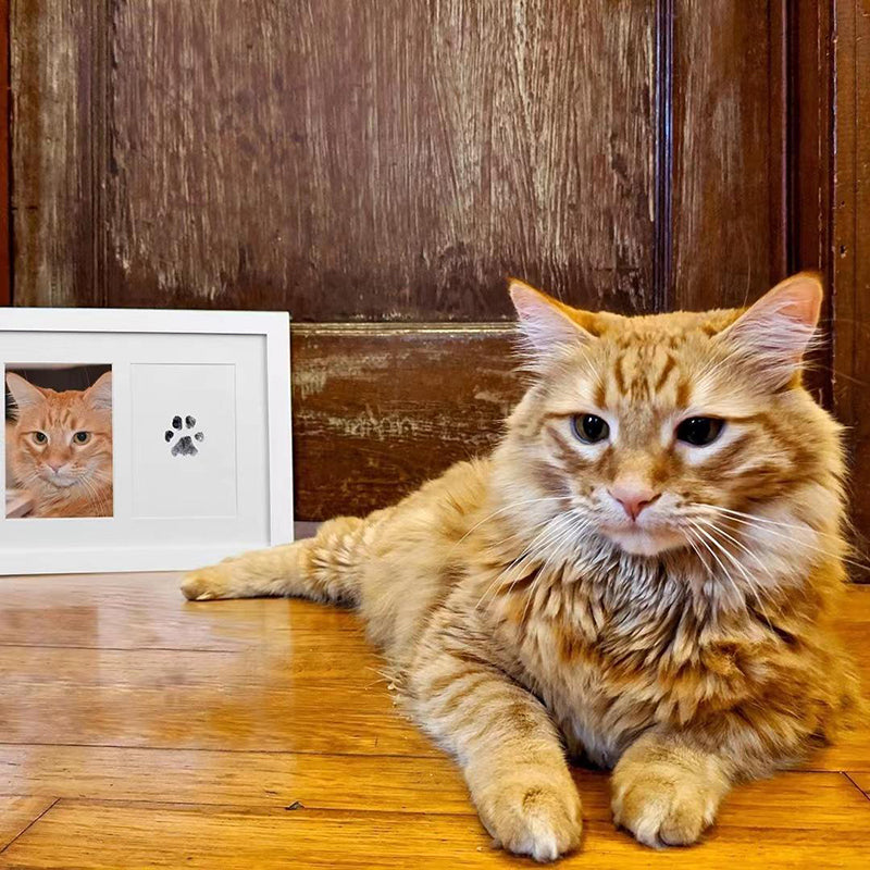 PetsLoveStory® Paw Print Stamp Pad - PetsLoveStory®