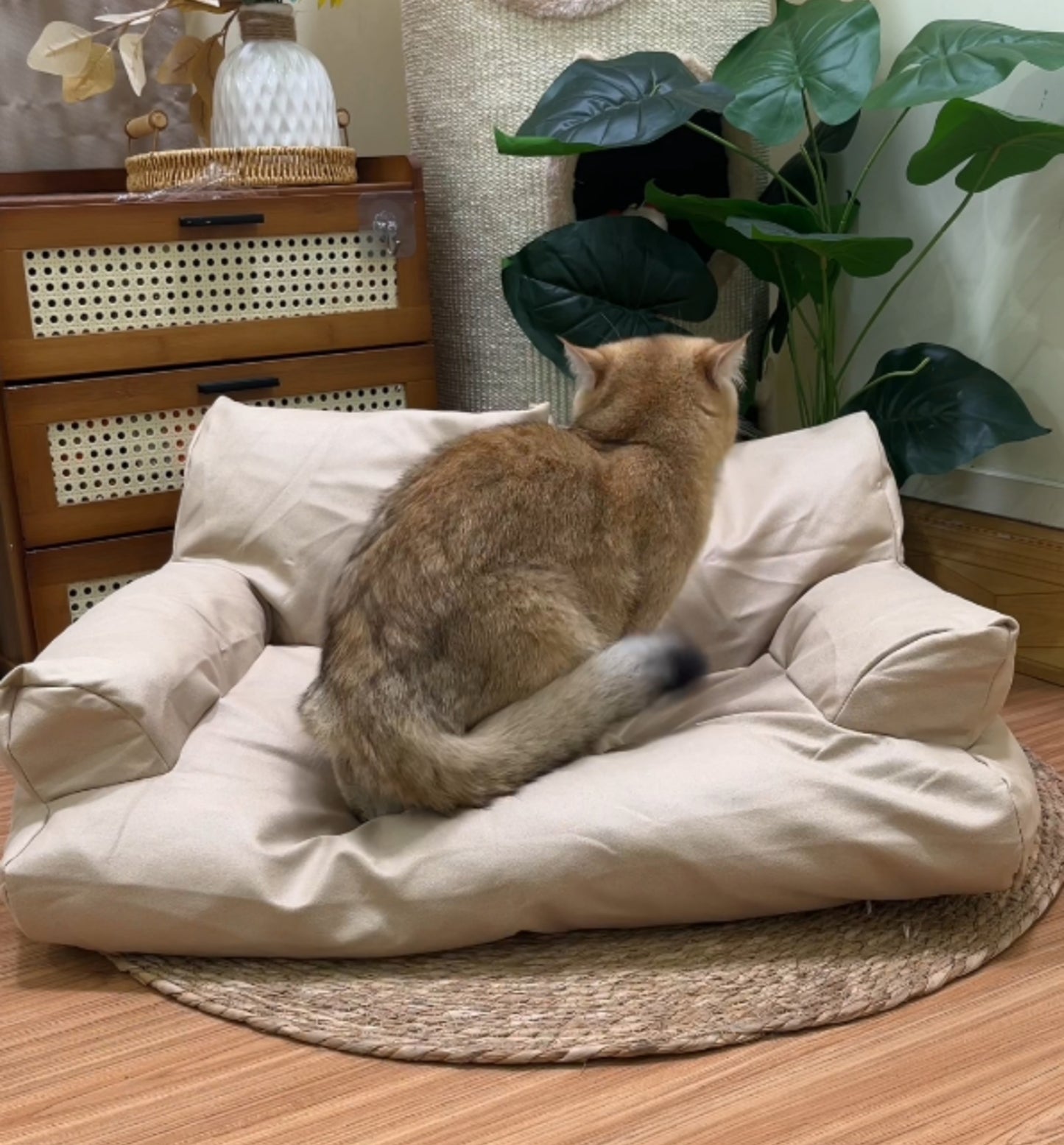 Cat couch for all seasons - PetsLoveStory®