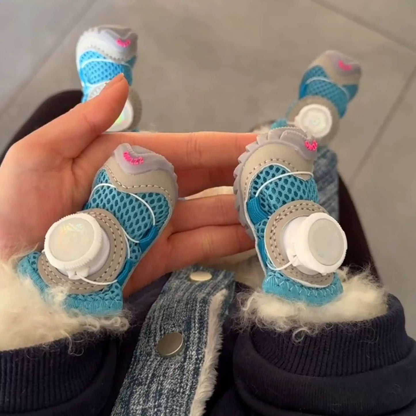 Novos sapatos para cães