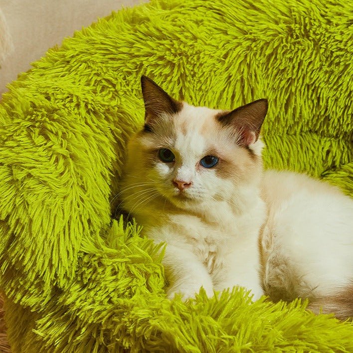 Horn Monster Pet Bed - PetsLoveStory®