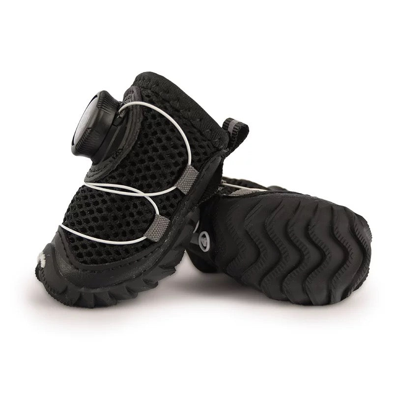 Novos sapatos para cães