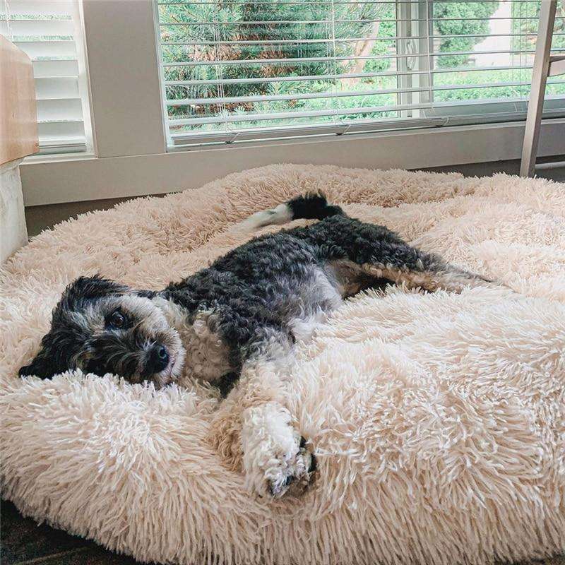 Doghouse plush round pets keep warm in autumn and winter - PetsLoveStory®