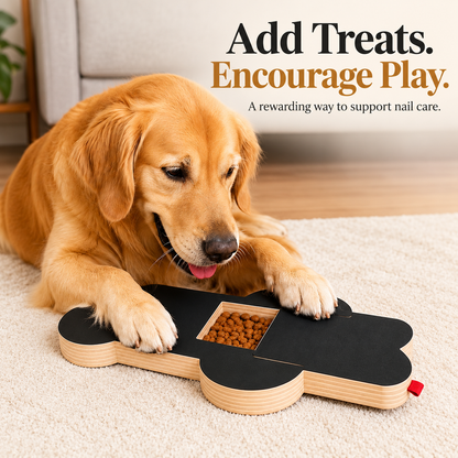 Treat-Reward Dog Scratch Board