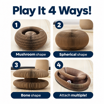 Magic Ball Track Scratcher™ – Foldable Play Ring for Cats & Small Dogs