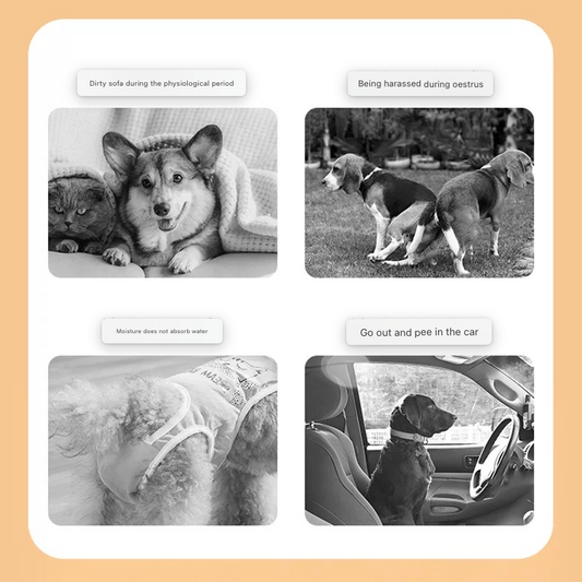 Pet Sanitary Pants