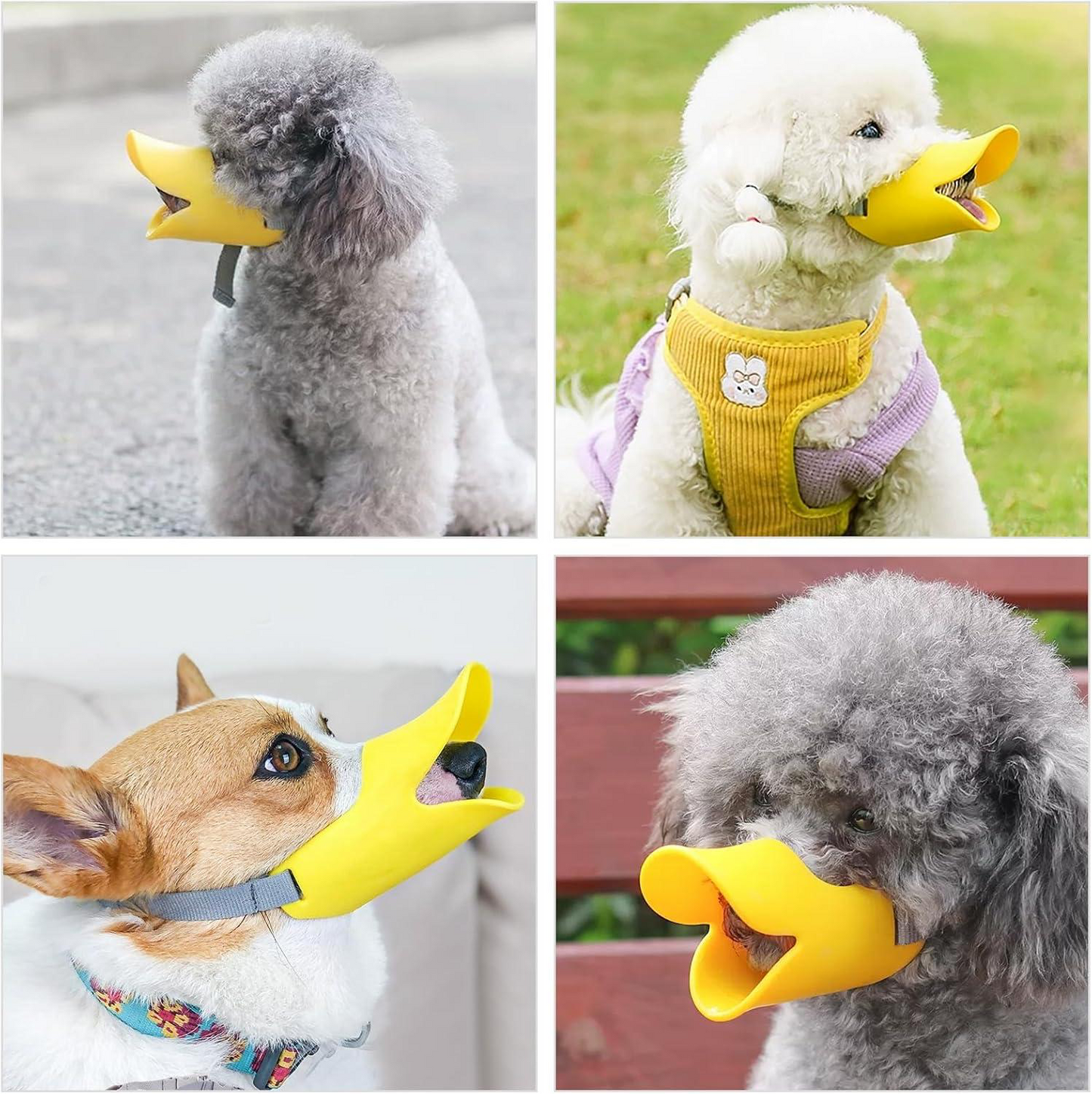 Focinheira para cachorro – A boca de pato ajustável mais fofa para seu cachorro