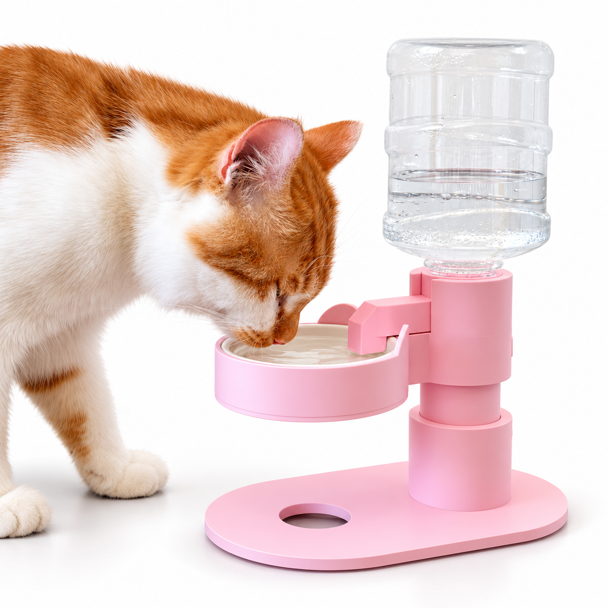 Self-Refilling Pet Water Dispenser – New Design