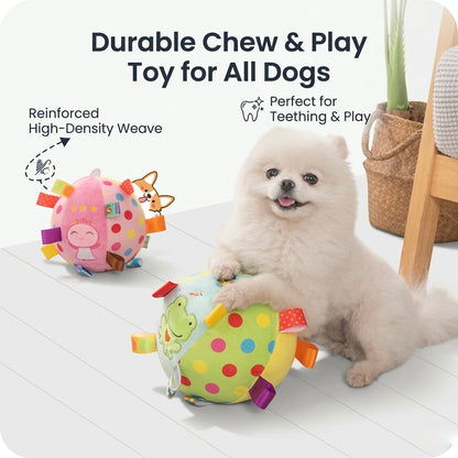 Colorful Squeaky Plush Dog Training Ball