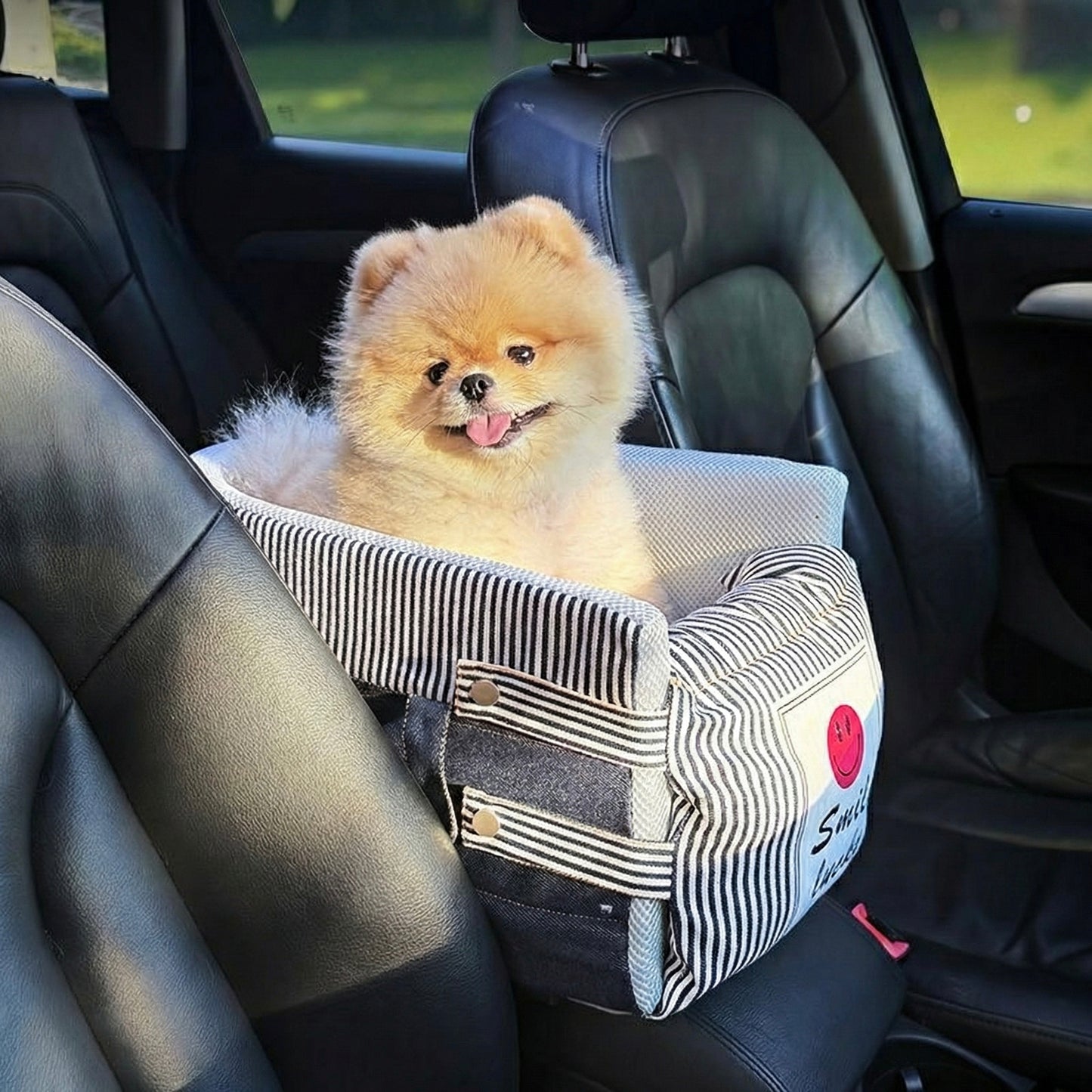 Central Car Dog seat