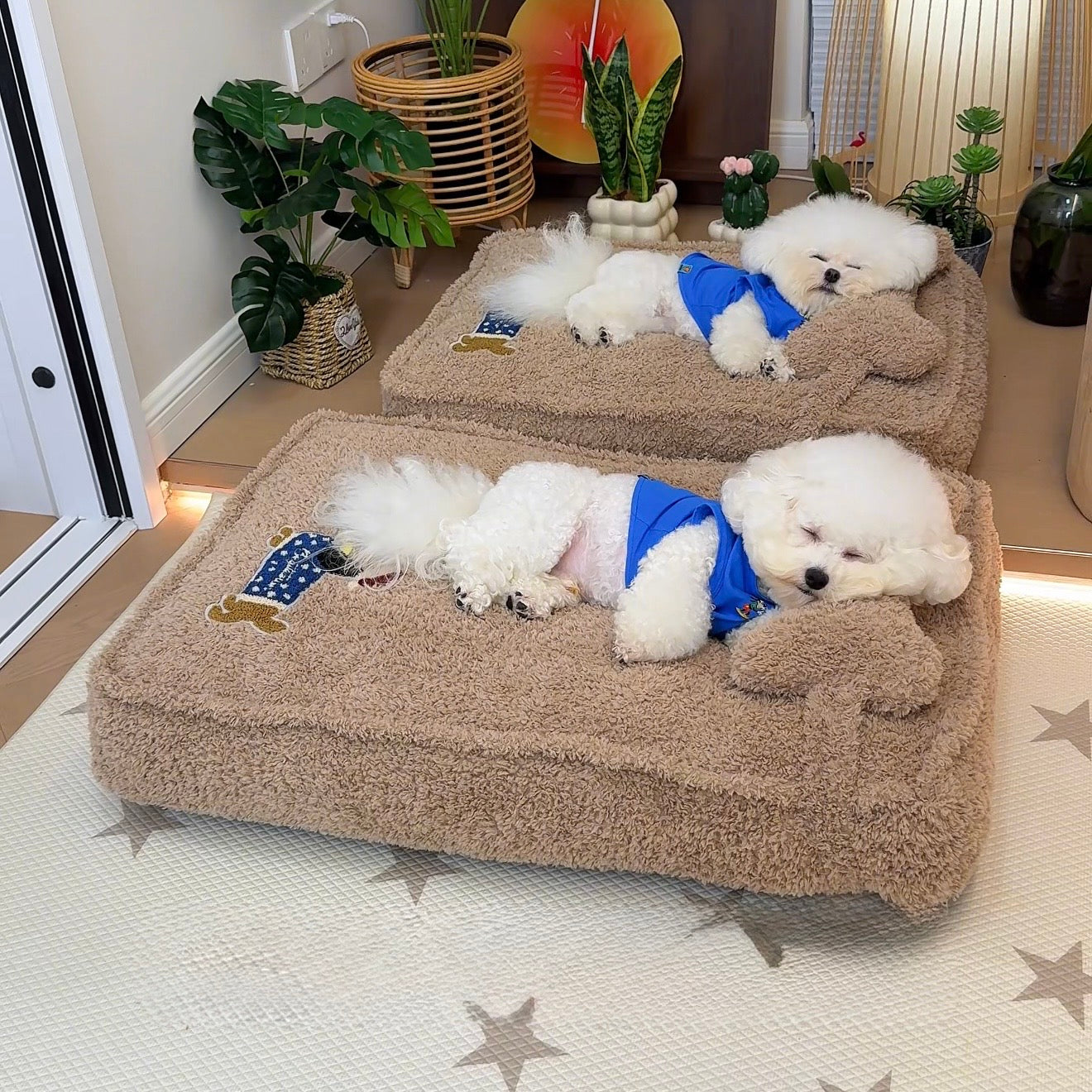 Nova cama aconchegante para animais de estimação