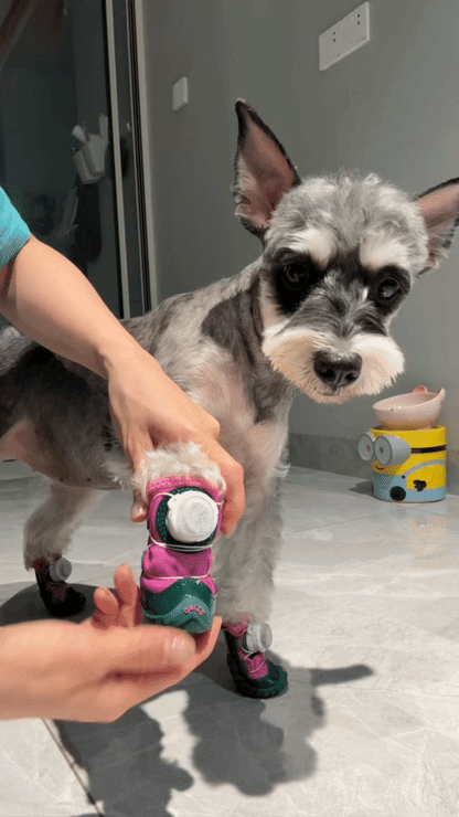 New lighting Dog winter Shoe ( 2 Pairs  ) for Front & Back Legs